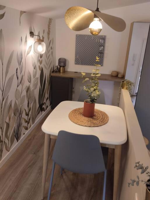 Les Salenques Apartment Toulouse Ngoại thất bức ảnh