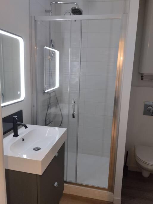 Les Salenques Apartment Toulouse Ngoại thất bức ảnh