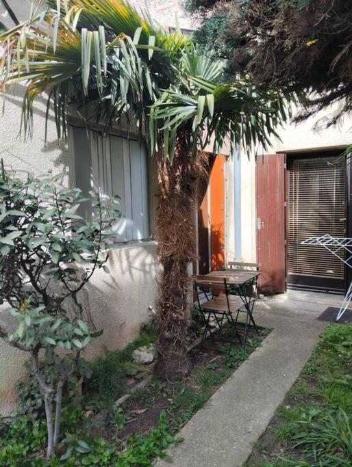 Les Salenques Apartment Toulouse Ngoại thất bức ảnh
